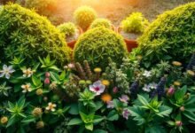 10 Jenis Tanaman Obat