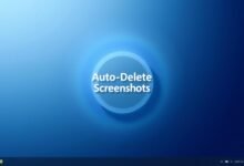 Auto-Delete Screenshots